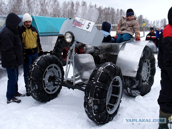 Каракат Оса
