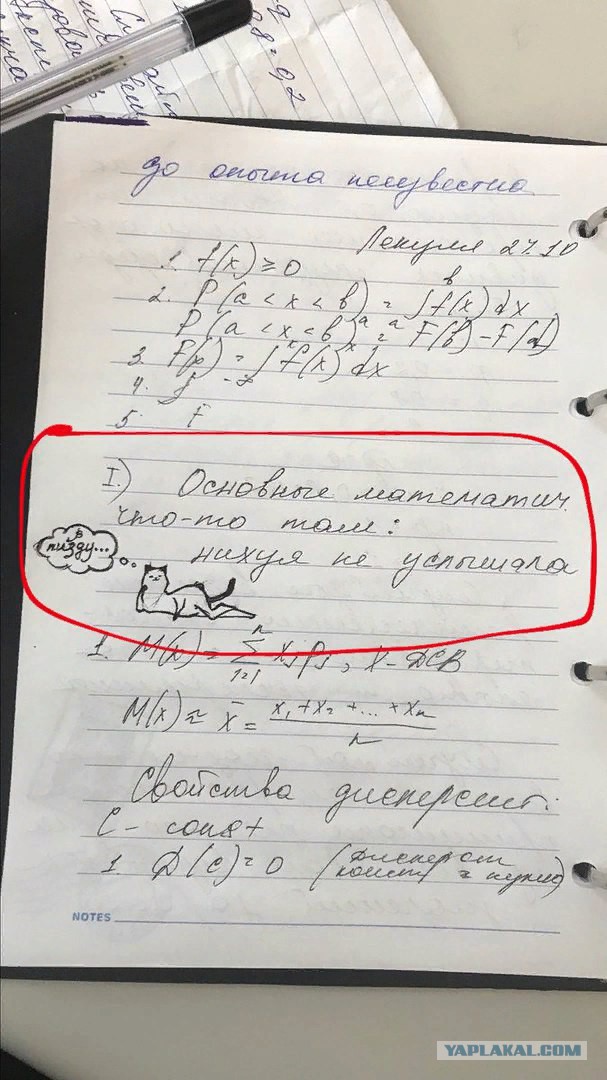 Подборка картинок из Интернета