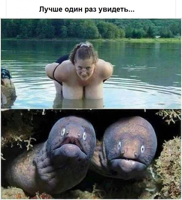 Нестандартный юмор