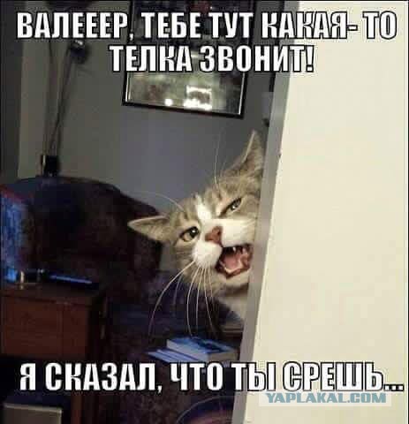 Не очень адекватный юмор