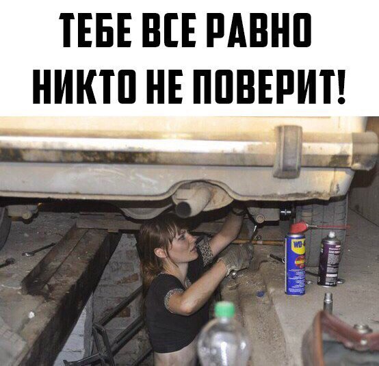 Картинки по-приколу