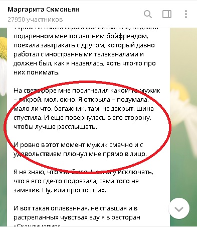 Маргарита Симоньян рассказала о хамстве на дороге
