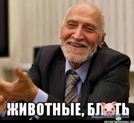 Властвуй, унижай, ломай магазин