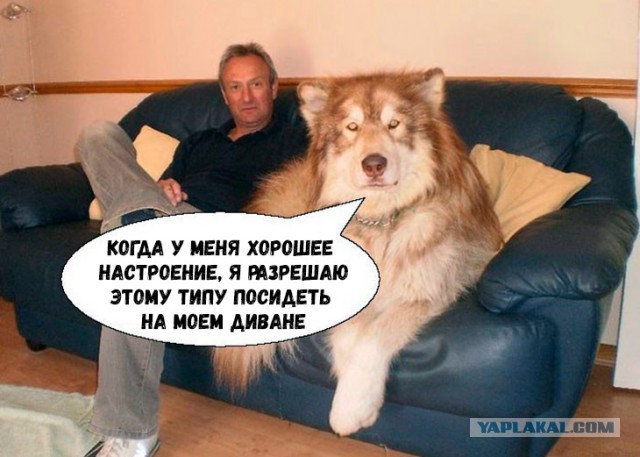 Немного картинок для настроения