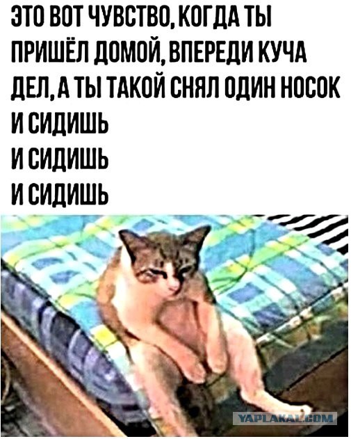 Немного картинок для настроения