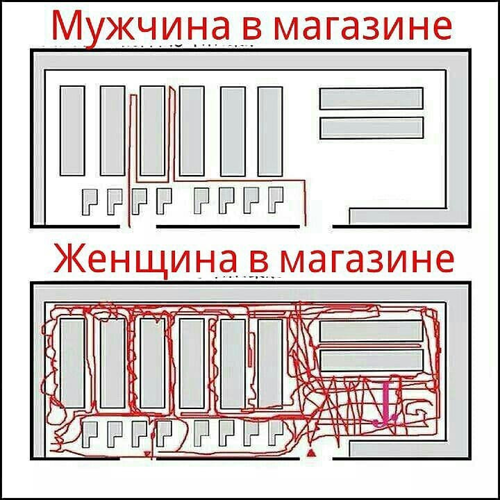 13208301.jpg
