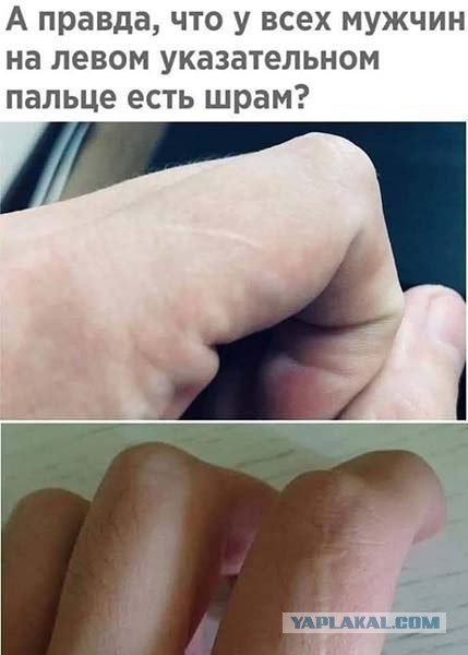 Дочь прислала картинку