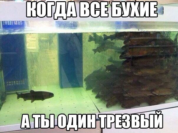 Древние мемы с ВК. Для тех кто забыл #8