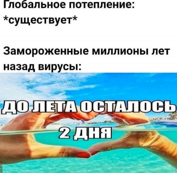 Юмор на любителя