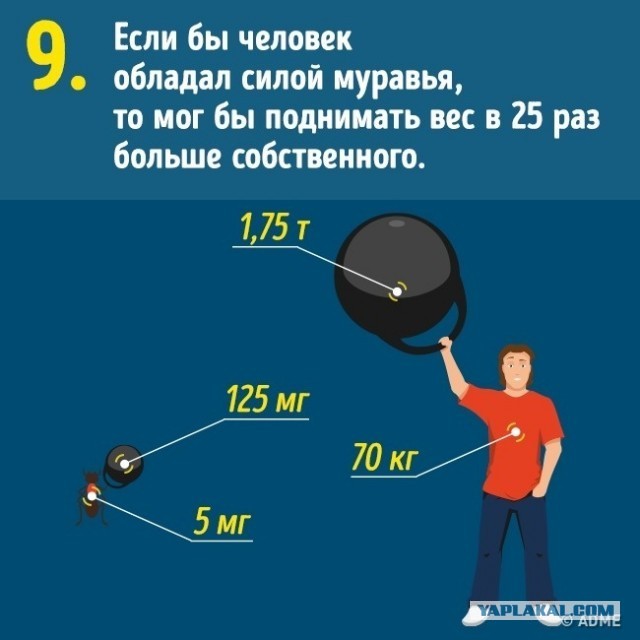 10 вещей, о реальных размерах которых мы и не подозревали