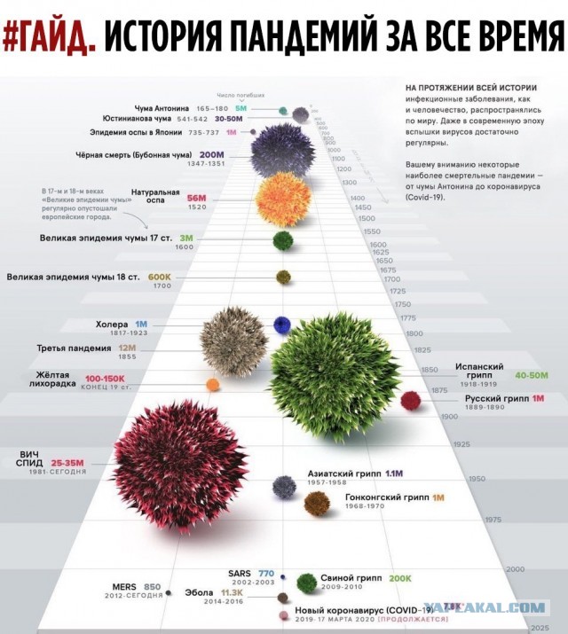 Бредзона 24.05.20