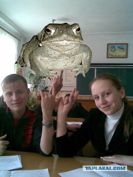 Отжабьте меня пожалуйста