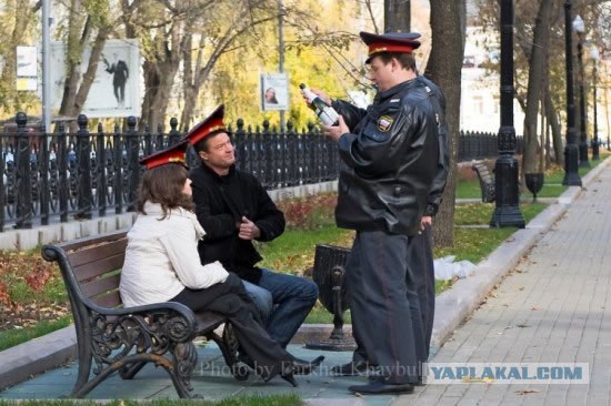 Фотожаба: И на сколько ж тебе штраф выписать?