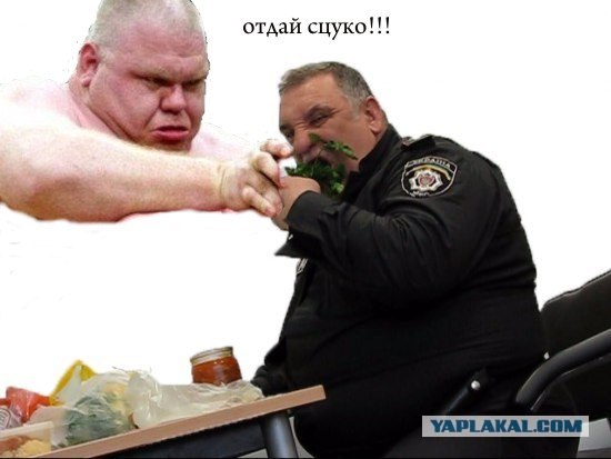 Фотожаба: Голодный охранник