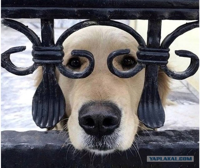 Удачный кадр. Фотопост