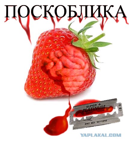 Фотожаба: Лето, фрукты, генетика!