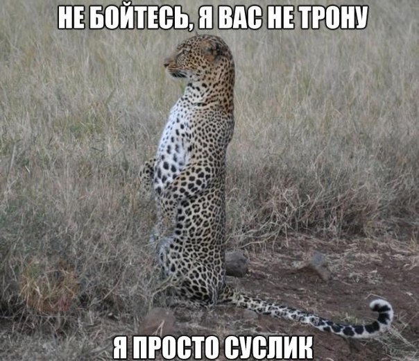 Картинки разные 08.10.2020