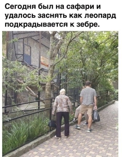 Хищницы
