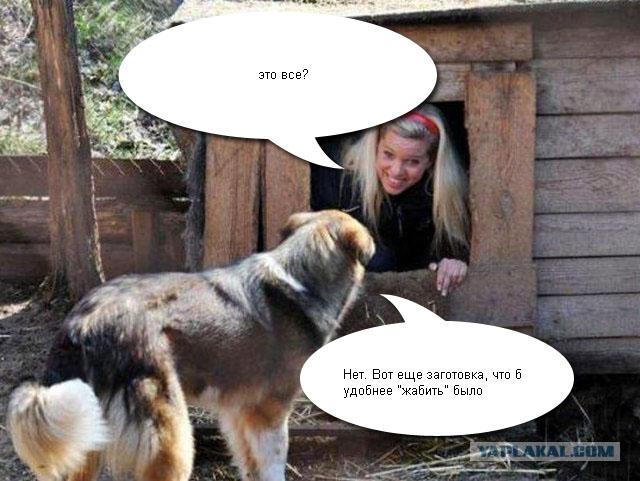 Фотожаба: Собака с Девушкой