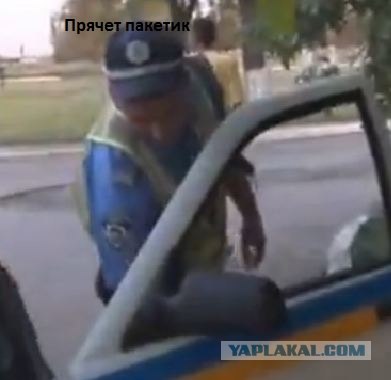 Дунули и полетели