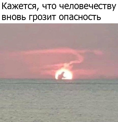 Весёлый полтишок 4.04