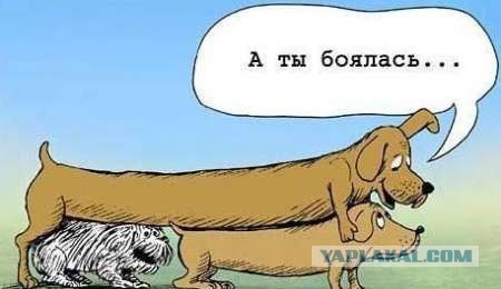 Плоской планете - плоский юмор