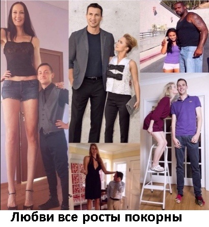 Так себе картинки 15.08.21