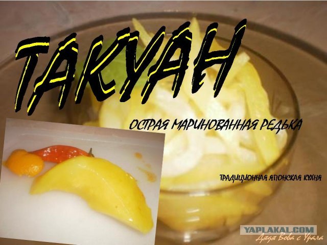 Вся правда о КАБАЧКАХ и ЦУККИНИ