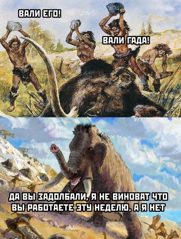 Весёлый полтишок 02.11