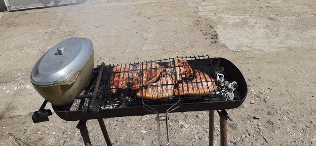 Шашлык по-мадейрски: Эшпетада на лавровых палочках