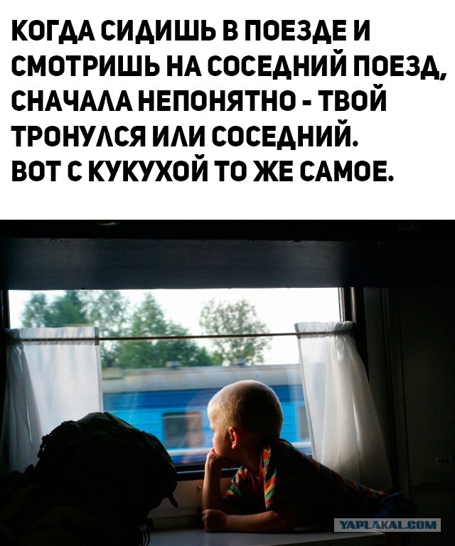 Что за страна у нас, не любим мы себя!