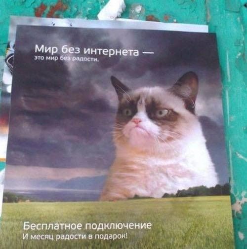 Так себе картинки 07.02.22