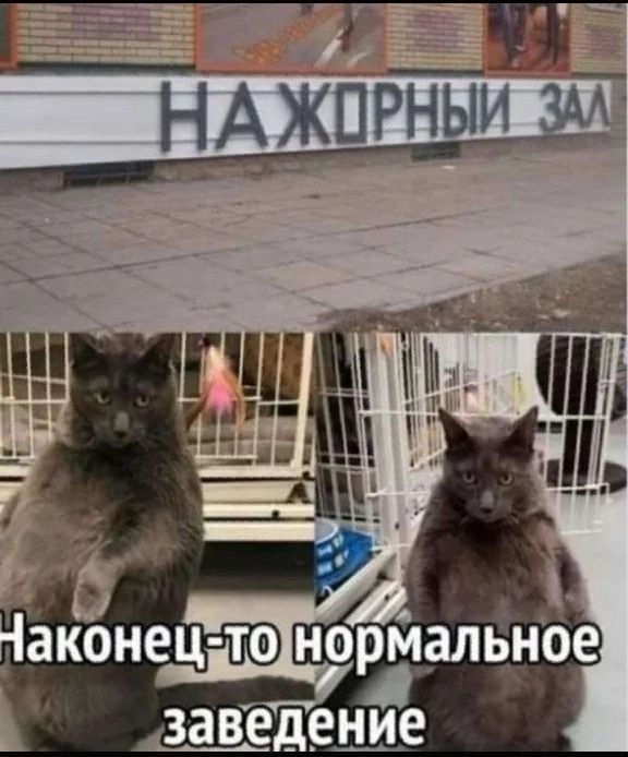 ЯПовчане - ОСТАНОВИТЕСЬ!