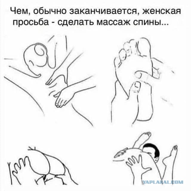 Мойщик жоп?