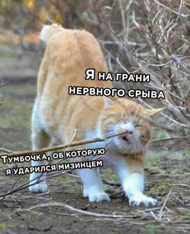 Забавные комментарии из социальных сетей (11.07.22)