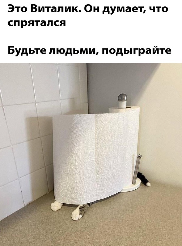 Картинки и мемы для настроения - 17