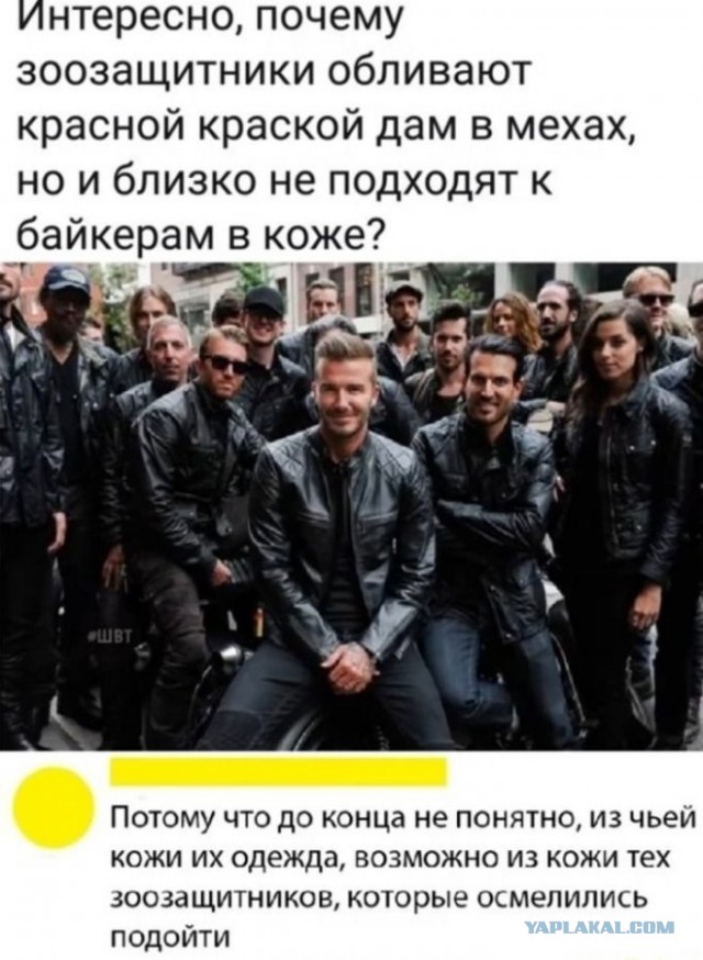 50 оттенков серого или самосвал баянов. Vol.27