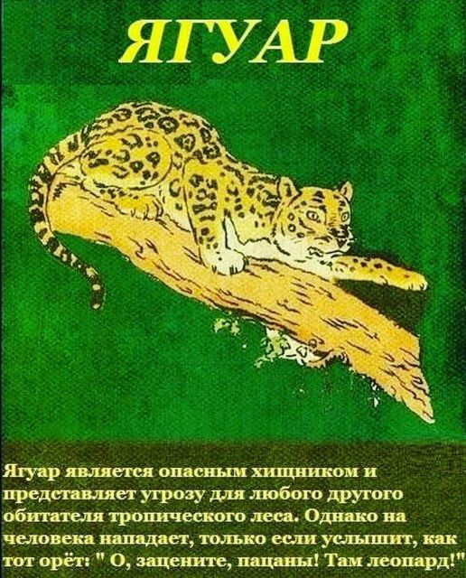 Картинки и мемы. Выходные близко...