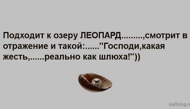 Сельский гламур, ковры... В общем всё, что вам нравится