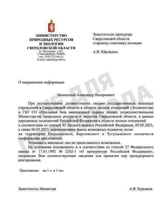 К Кургану подбираются пожары. Горит буквально все вокруг города