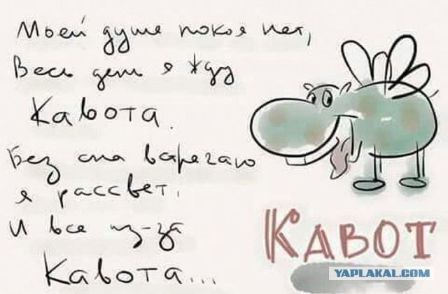 Ценность женщины глазами мужчины