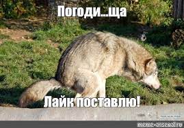 Подоляк расстроен