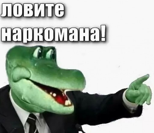 Заслуженную артистку РФ Рамилю Искандер (Хисамову) задержали с 2 килограммами мефедрона и дозой кокаина