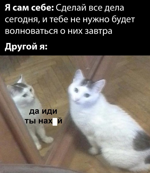 Всего понемногу. От 19.01.24