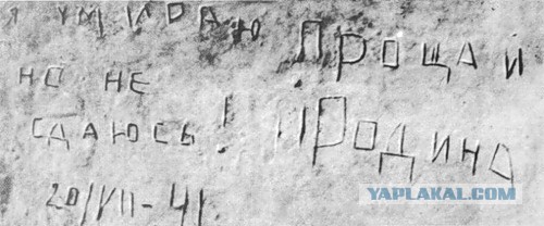 Липовые награды