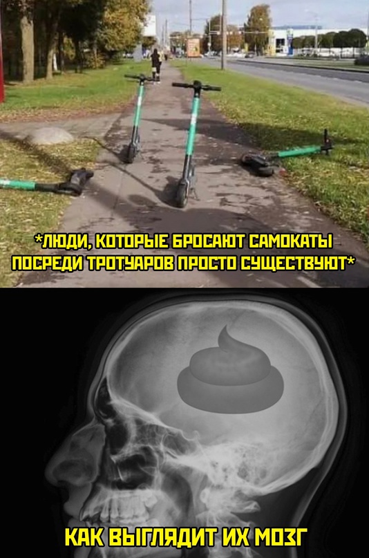 Весёлый полтишок 20.05.24