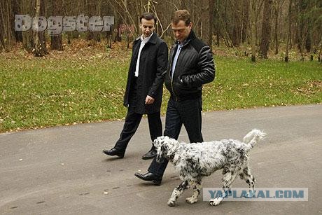 Человек и собака