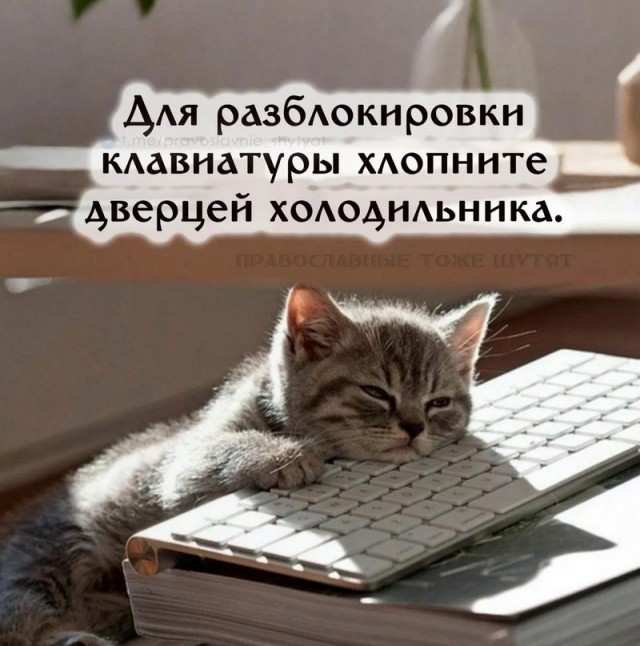 Весёлый полтишок 18.03.2025
