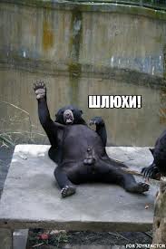 Взяла и всё испортила!