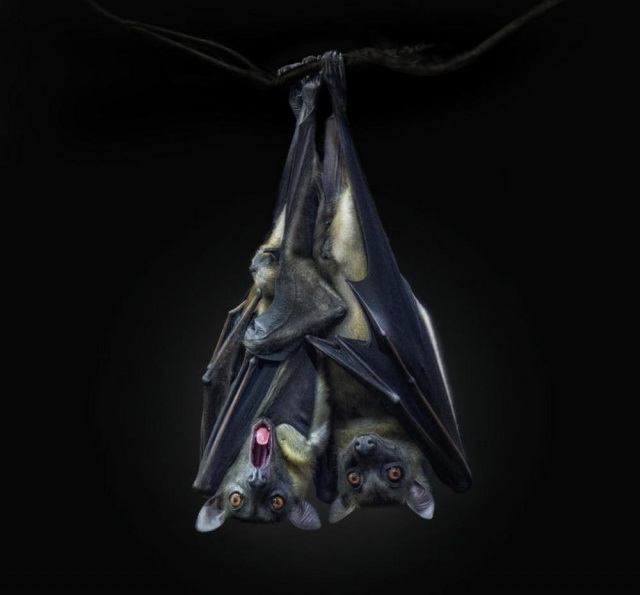 Заряд позитива: взгляните на 25 самых забавных снимков